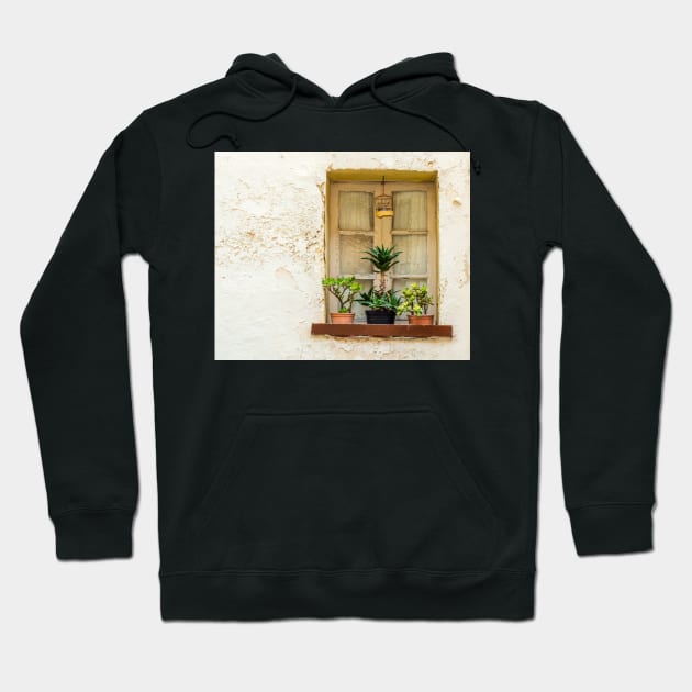 Window with flower garden and bird cage Hoodie by lena-maximova